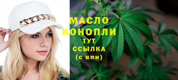 крисы Корсаков