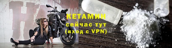 крисы Корсаков