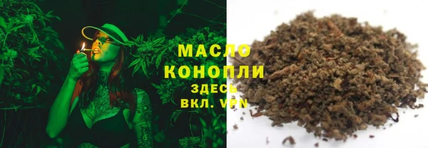 крисы Корсаков