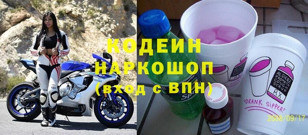 крисы Корсаков