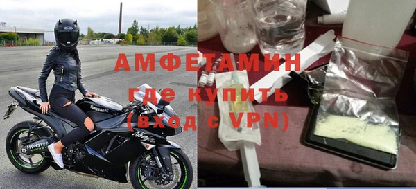 крисы Корсаков