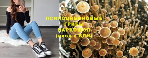 шишки Краснотурьинск