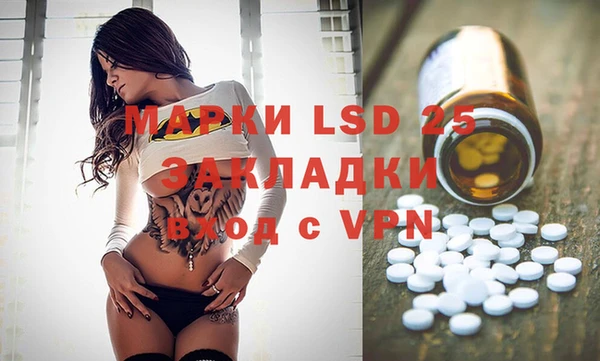 шишки Краснотурьинск