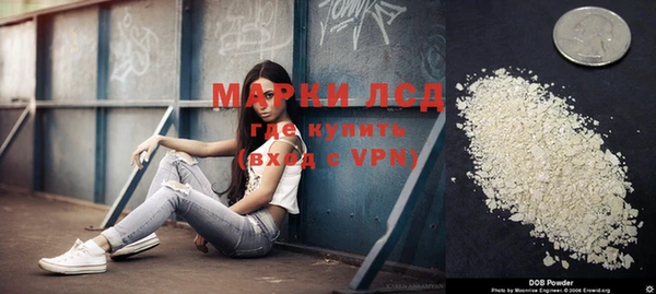 крисы Корсаков
