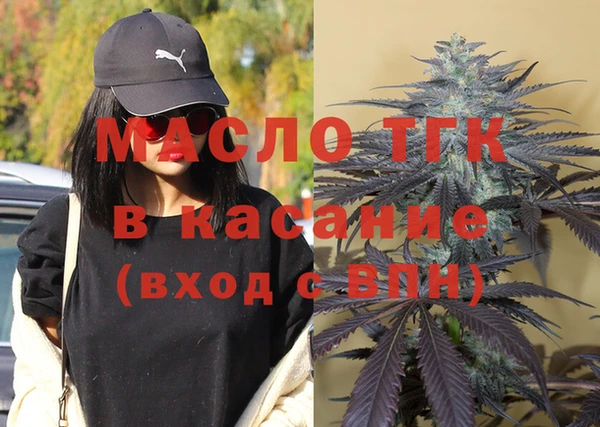 крисы Корсаков