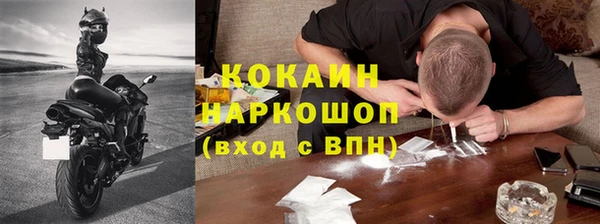 крисы Корсаков