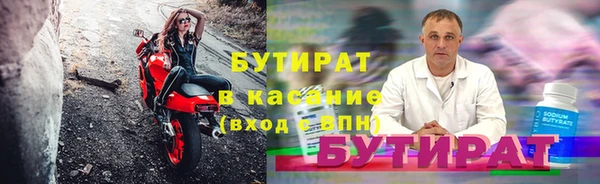 крисы Корсаков