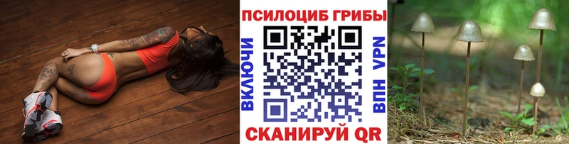 Псилоцибиновые грибы мухоморы  Малгобек 